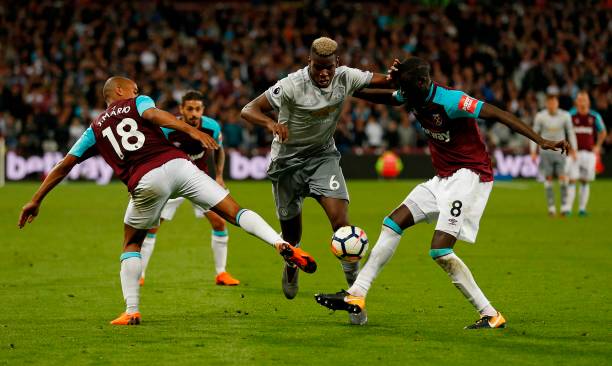 大量忠实粉 大量忠实粉