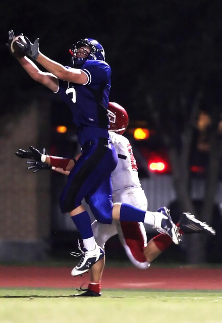 了他的职业 了他的职业