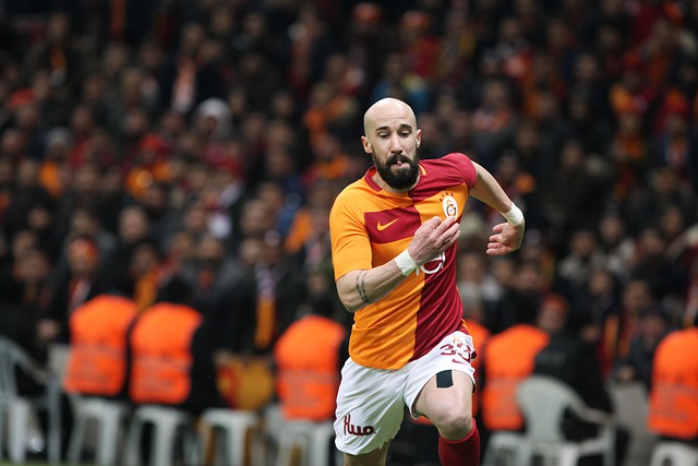 杨泽翔的困 杨泽翔的困